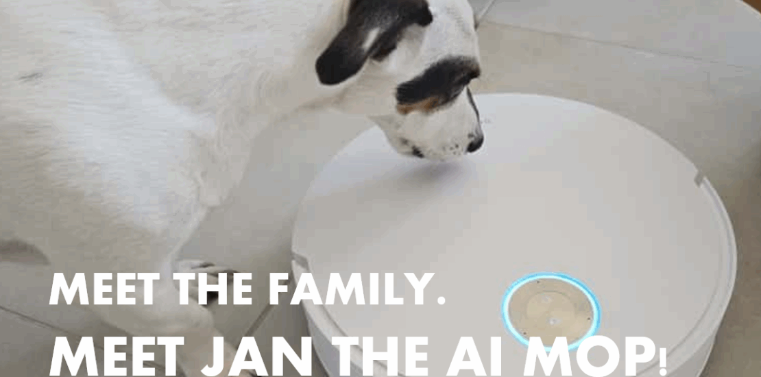 Blog - Jan the Mop and Scrappy taking an interest. Will AI ever be a colleague?